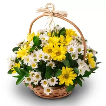 fleuriste fleurs de Fortaleza- Jaune doux Bouquet/Arrangement floral