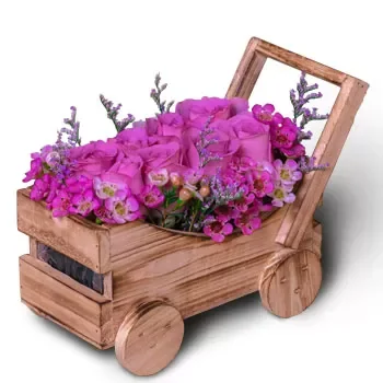 Μέι Τσιν λουλούδια- Μοβ Λάμψη Λουλούδι Παράδοση