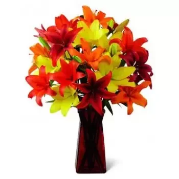 flores Naṣir Bush floristeria -  Pura felicidad Ramos de  con entrega a domicilio