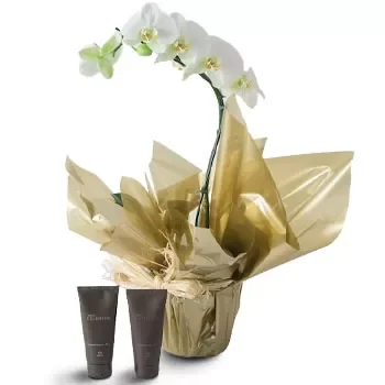 Fortaleza Fleuriste en ligne - Surprise unique Bouquet