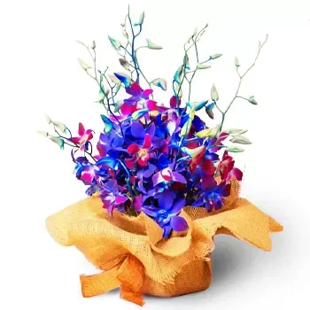 بائع زهور التل الأحمر- ترتيب زهور الأوركيد الجميلة زهرة التسليم