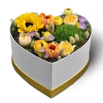 بائع زهور أنكورفال- حديقة الزهور المختلفة زهرة التسليم