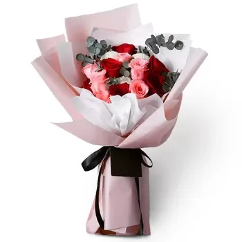 Toa Payoh West λουλούδια- Μπουκέτο με τριαντάφυλλα που κοκκινίζει Λουλούδι Παράδοση