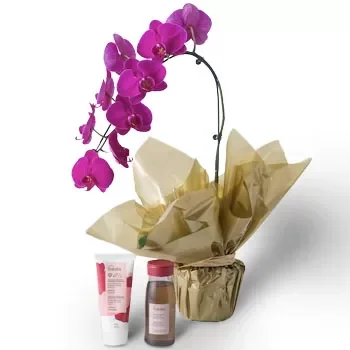 Белу-Оризонти цветы- Розовые лепестки Цветочный букет/композиция