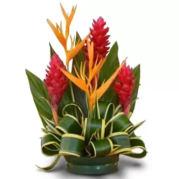 Fidzsi-szigetek-virágok- Color Burst Virág Szállítás