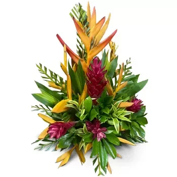 Fidži-saaret Online kukkakauppias - Punaista romantiikkaa Kimppu
