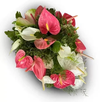 بائع زهور جزر فيجي- ارض الاحلام زهرة التسليم
