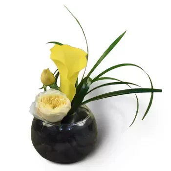 Tanglin Halt פרחים- פריחה מהפנטת פרח משלוח