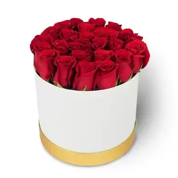 סנוקו צפון פרחים- האטרקטיביות של ורדים אדומים פרח משלוח