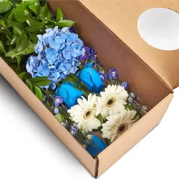 חֶבֶר הָעַמִים פרחים- קופסה ארומטית פרח משלוח