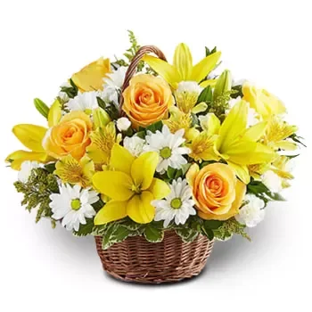פארק פסיר ריס פרחים- נשיקת שמש פרח משלוח