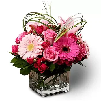 Shangri-La λουλούδια- Πολύτιμα Pinkies Λουλούδι Παράδοση