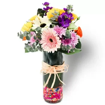 Choa Chu Kang Central kukat- Säteilevä Kukka Toimitus