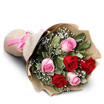 Braddell květiny- Červený a růžový motiv Květ Dodávka