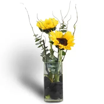 fiorista fiori di International Business Park- Coppia Superior di Girasole Fiore Consegna