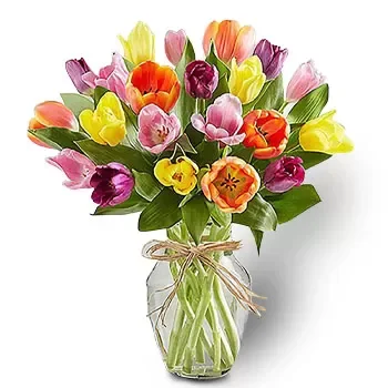 بائع زهور كامبونج جافا- بتلات متوهجة زهرة التسليم