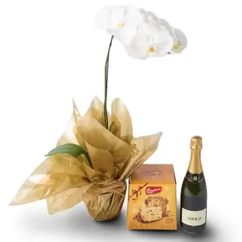 Fortaleza online Florist - Special Gift Bouquet