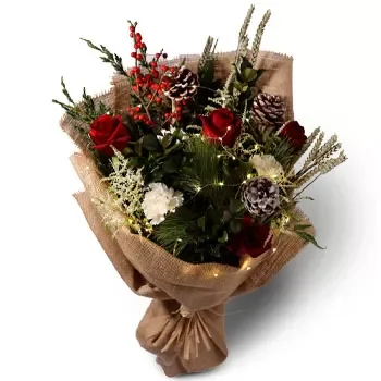 בון ליי פלייס פרחים- פריחת חג המולד פרח משלוח