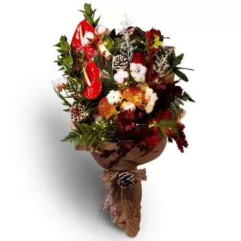 بائع زهور أورا فاجورور- التمنيات البراقة زهرة التسليم