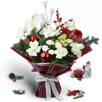 Singapore flowers  -  Smooth Attractiveness Flower Delivery