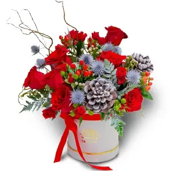 Κατάρ λουλούδια- χαρά Λουλούδι Παράδοση