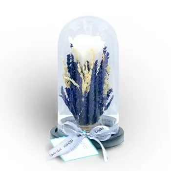 Al Luqta flowers  -  Blue Planet Flower Delivery