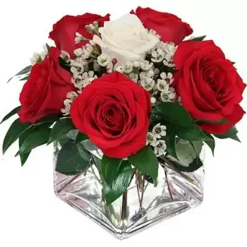 Cairo New 1 blommor- Amore Blomma Leverans