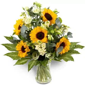 flores Agios Syllas floristeria -  Flores preciosas Ramos de  con entrega a domicilio