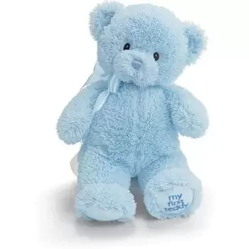 Glasgow bunga- Biru Teddy Bear