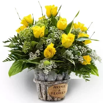 אגיאסמה פרחים- בהירות שמש פרח משלוח