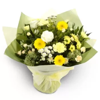 אגיוס גאורגיוס או מתיסטיס פרחים- מתנת לוש פרח משלוח