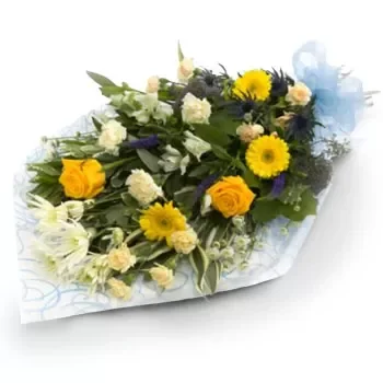 بائع زهور ايجياليا- زهرة الجمال زهرة التسليم