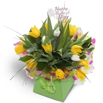 איורה פרחים- די צהוב פרח משלוח