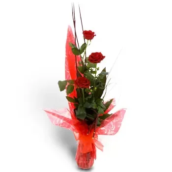 テッサロニーキ 花- 見事な赤いバラ 