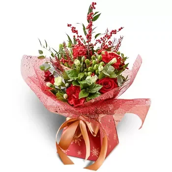 Akritochorion bunga- Sempurna - Merah Bunga Penghantaran