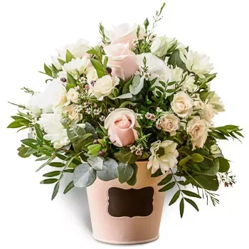 Ai Giannis blomster- Delikate farver Blomst Levering