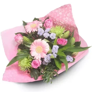 Alpochorion blomster- Beroligende blomstrer Blomst Levering