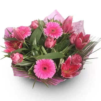 אגיוס יואניס ריגאנאס פרחים- ורודים לוהטים פרח משלוח