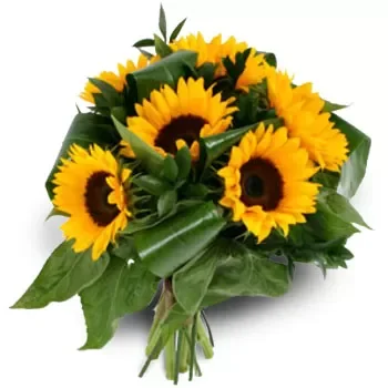 flores Aigina floristeria -  brillo soleado Ramos de  con entrega a domicilio