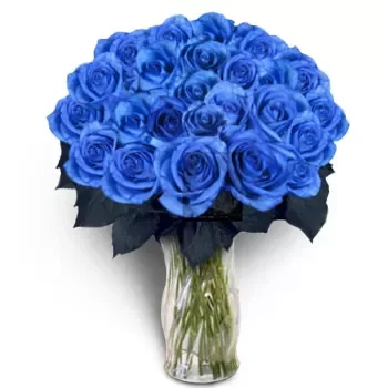 אגיוס רומנוס פרחים- מתנה מלכותית פרח משלוח