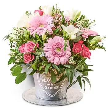 אגלאס פרחים- קרמי חלומי פרח משלוח