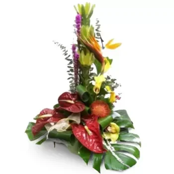Αλιβέριον λουλούδια- Premium Arrangement Λουλούδι Παράδοση