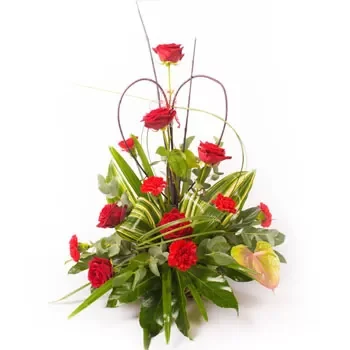 Aetopetra blomster- Klassisk og dejlig Blomst Levering