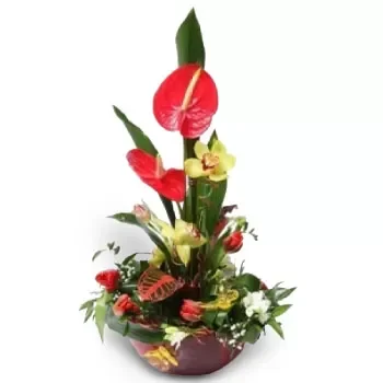 Αίγινα λουλούδια- Ελκυστική διάταξη βάζου Λουλούδι Παράδοση