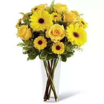 ดอกไม้ เซนต์มาร์ติน - ความรัก ดอกไม้ จัด ส่ง