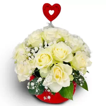 베오그라드 꽃- 흰색 상자 꽃 배달