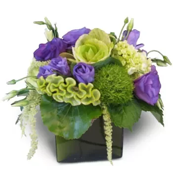 אגיוס לוקאס פרחים- סידורים אידיאליים פרח משלוח