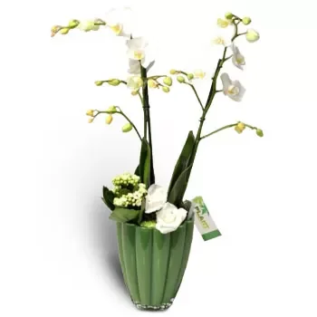 Agrelopos bloemen bloemist- Pure schoonheid Bloem Levering