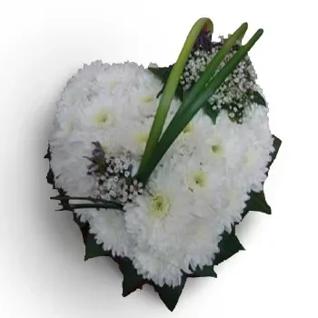 flores Grecia floristeria -  Espíritu eterno Ramos de  con entrega a domicilio