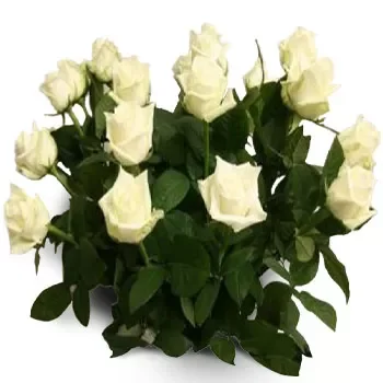 אגיאסוס פרחים- ורדים עתיקים פרח משלוח